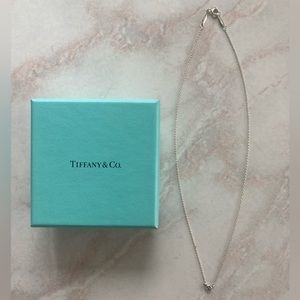 Tiffany & Co Elsa Peretti Color by the Yard Aquamarine Pendant